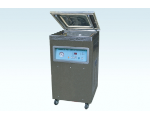 Single-Chamber Vacuum(Gas Filling)Packer