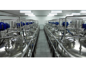 High Capacity Fresh Orange Juice Processing line For Sale